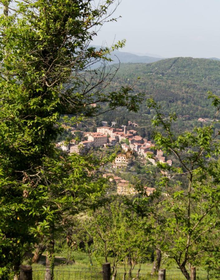 Appartement Le Dame del Borgo à Sassetta Extérieur photo