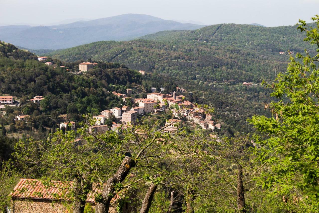 Appartement Le Dame del Borgo à Sassetta Extérieur photo